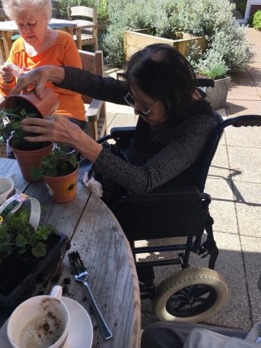 Carousel post from Brook Court Care Home.