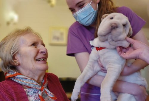 Photo post from Brook Court Care Home.