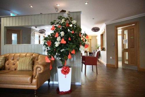 Photo post from Brook Court Care Home.