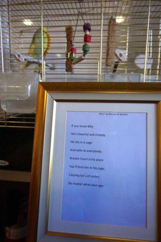 Photo post from Brook Court Care Home.
