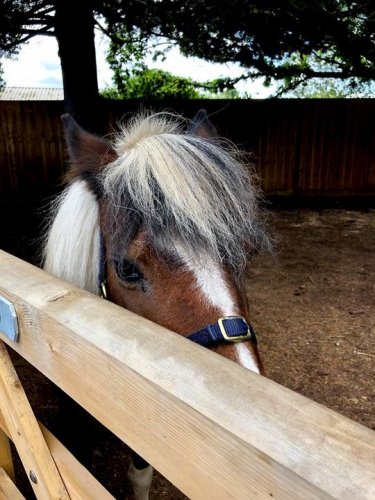 Carousel post from Sherwood Grange Care Home.