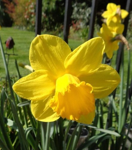 Photo post from Sherwood Grange Care Home.