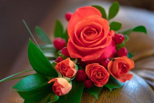 Photo post from Sherwood Grange Care Home.
