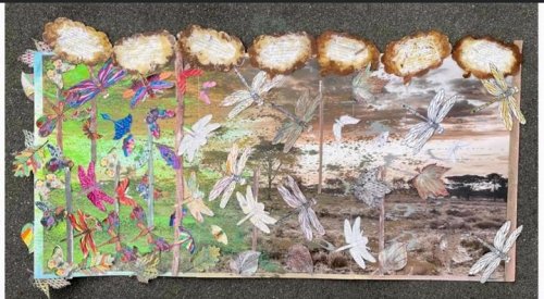 Photo post from Sherwood Grange Care Home.