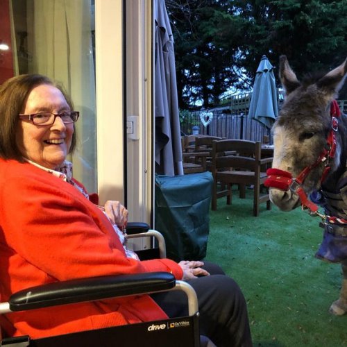 Carousel post from Sherwood Grange Care Home.