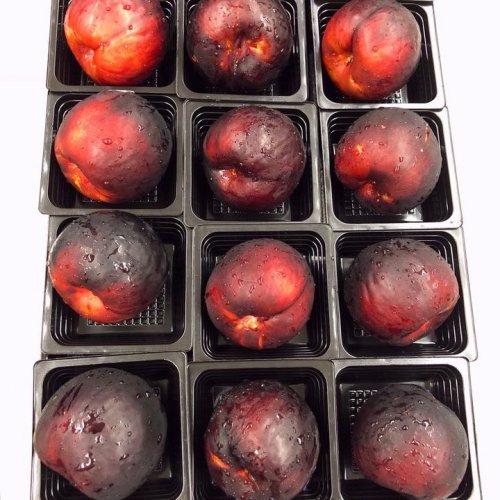 Photo post from CPCSC Food Service.