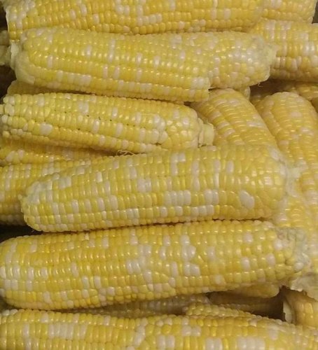 Photo post from CPCSC Food Service.