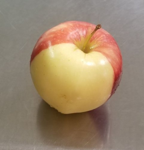 Photo post from CPCSC Food Service.