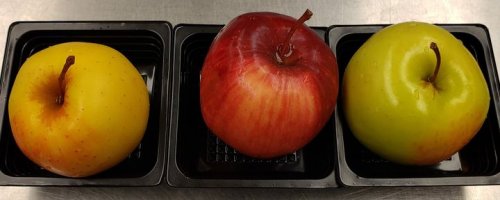 Photo post from CPCSC Food Service.