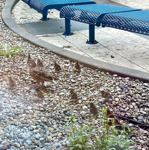 Carousel post from Grassy Creek Elementary School.