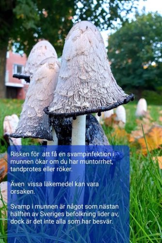 Photo post from Tandläkare Katrin Onno.