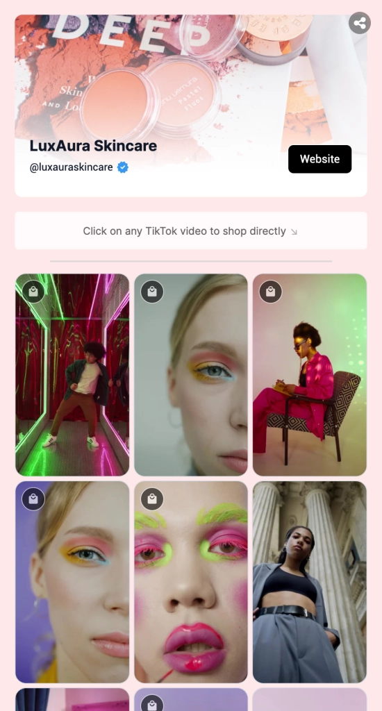 Shoppable TikTok Link in Bio Page