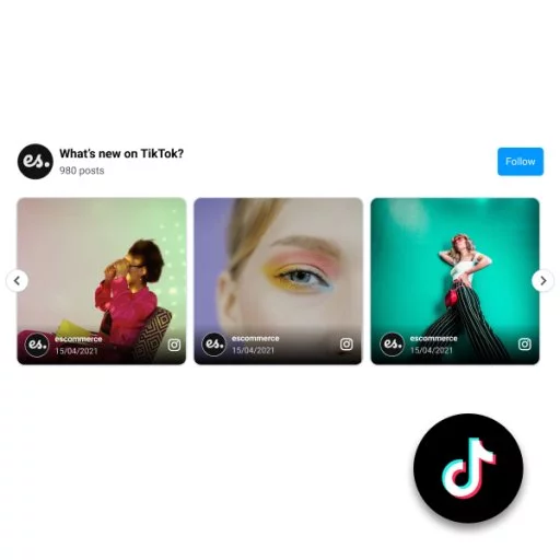 TikTok Carousel Widget