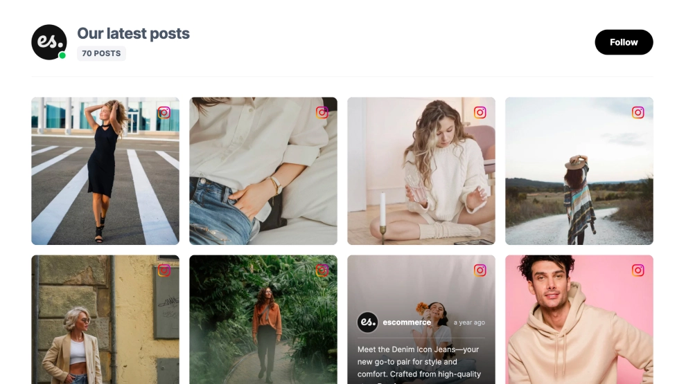 Instagram Grid Gallery Widget with Auto Scroll