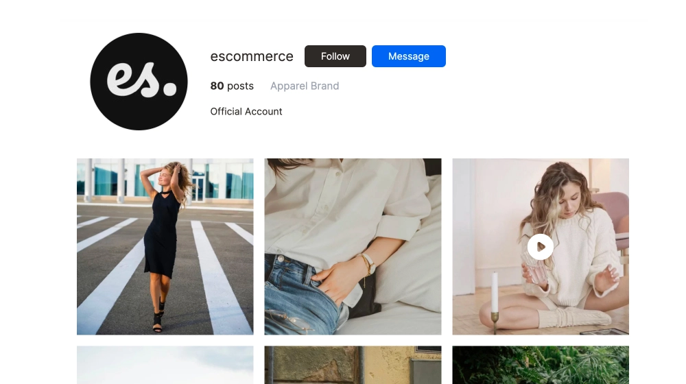 Instagram Profile Widget