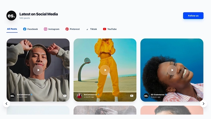 Social Media Feed Widget