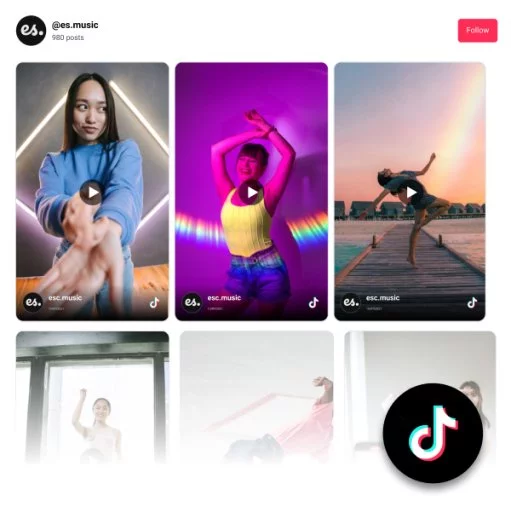 TikTok Feed Widget