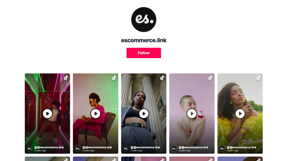 TikTok Feed Widget