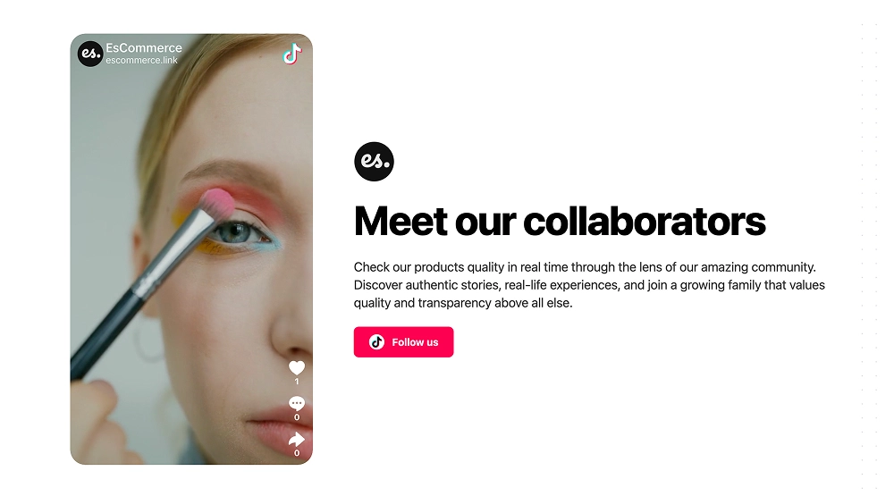 Influencer Mentions Section