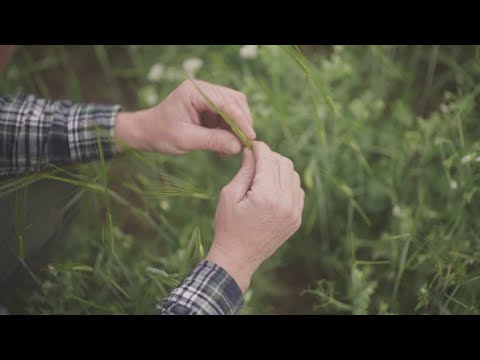 Video post from Latterie Vicentine Stabilimento produttivo.