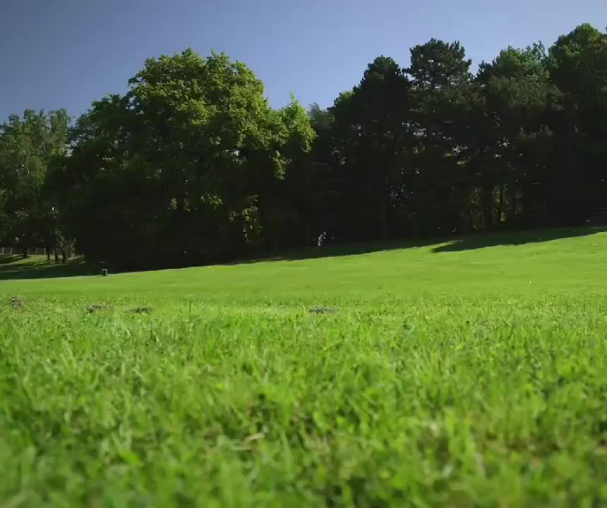 Video post from Genesis Nutritional Products.