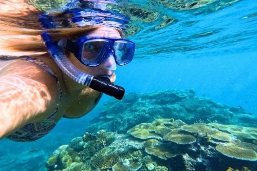 Photo post from Tour Fiji Tours.