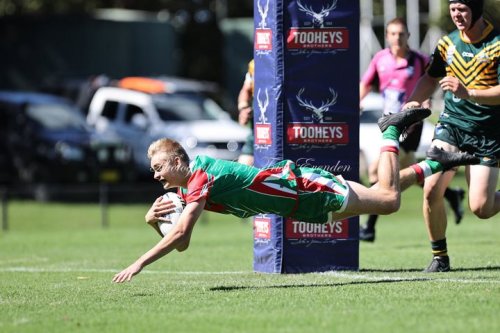 Carousel post from Western Suburbs Rosellas.