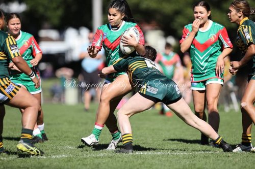 Carousel post from Western Suburbs Rosellas.