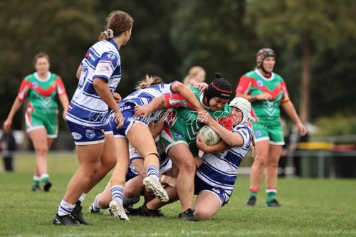 Carousel post from Western Suburbs Rosellas.