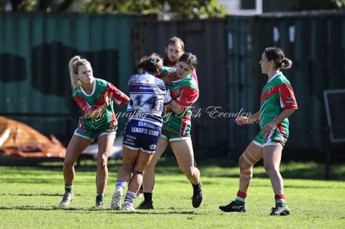 Carousel post from Western Suburbs Rosellas.