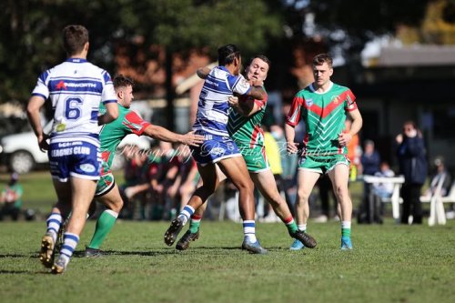 Carousel post from Western Suburbs Rosellas.