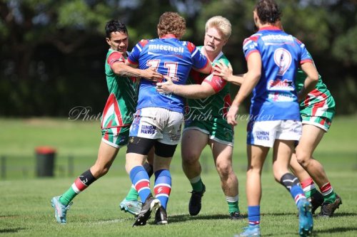 Carousel post from Western Suburbs Rosellas.