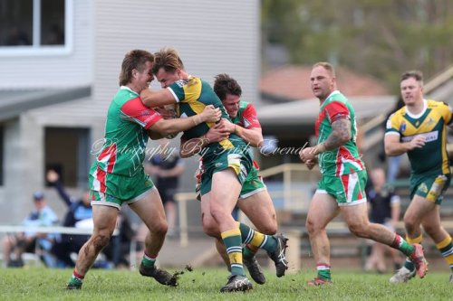 Carousel post from Western Suburbs Rosellas.