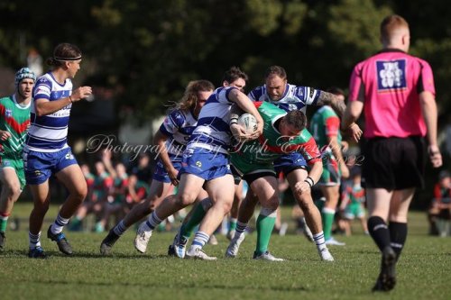 Carousel post from Western Suburbs Rosellas.