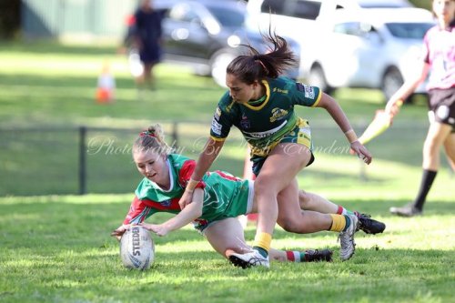 Carousel post from Western Suburbs Rosellas.