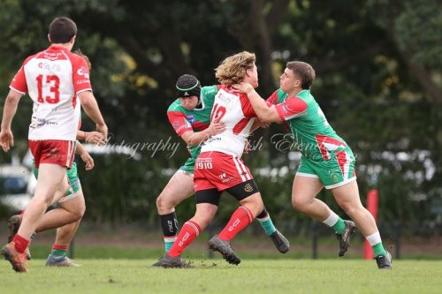 Carousel post from Western Suburbs Rosellas.