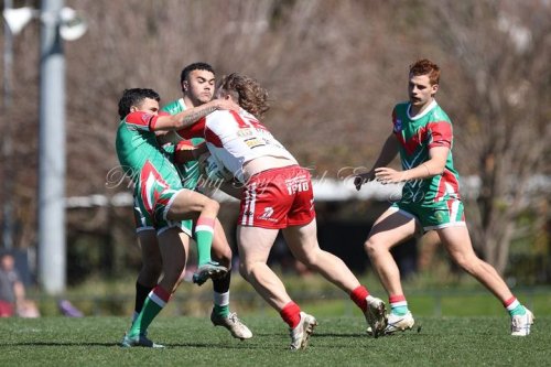 Carousel post from Western Suburbs Rosellas.