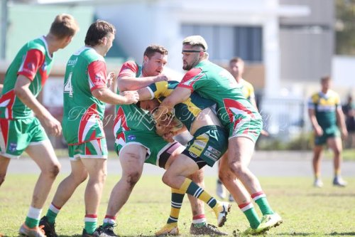 Carousel post from Western Suburbs Rosellas.