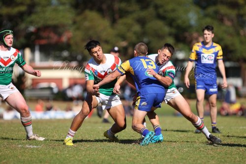 Carousel post from Western Suburbs Rosellas.