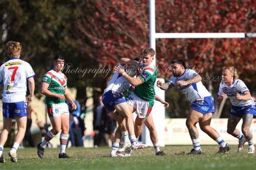 Carousel post from Western Suburbs Rosellas.