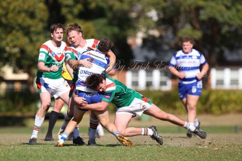Carousel post from Western Suburbs Rosellas.