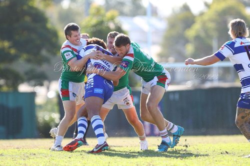 Carousel post from Western Suburbs Rosellas.