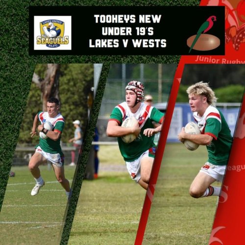 Photo post from Western Suburbs Rosellas.