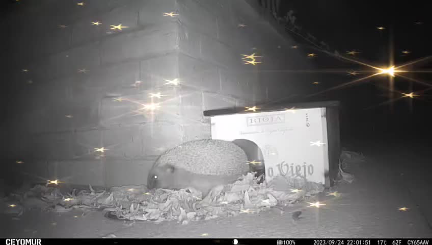 Video post from Salisbury Manor Care Home.