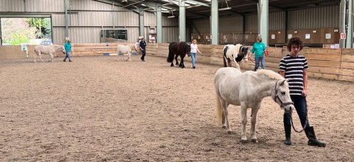 Carousel post from Salisbury Manor Care Home.