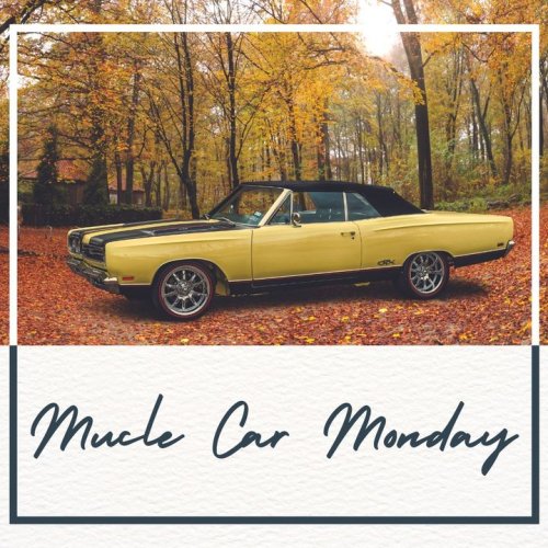 Photo post from Muscle Car Restorations.