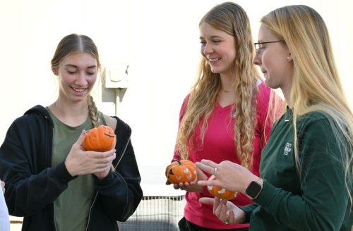 Carousel post from Franciscan Missionaries of Our Lady University.