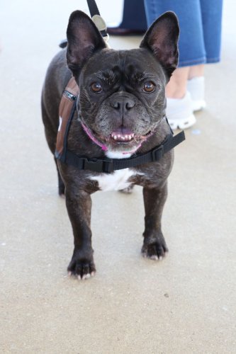 Carousel post from Franciscan Missionaries of Our Lady University.