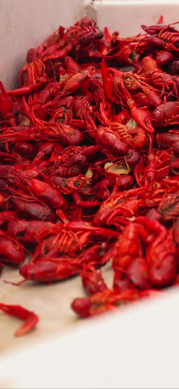 Video post from Franciscan Missionaries of Our Lady University.