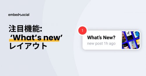 Photo post from @embedsocial_jp.